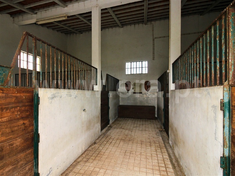 Moradia T4 Santarém, Vale de Santarém - 1467044 - 8