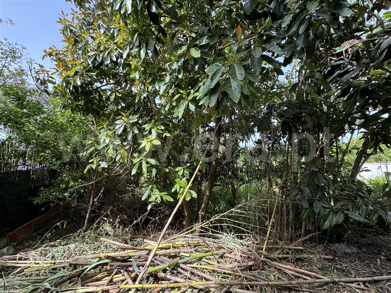 Moradia T4 à venda em Santiago do Cacém, Santa Cruz e São Bartolomeu da Serra, Santiago do Cacém — foto 10