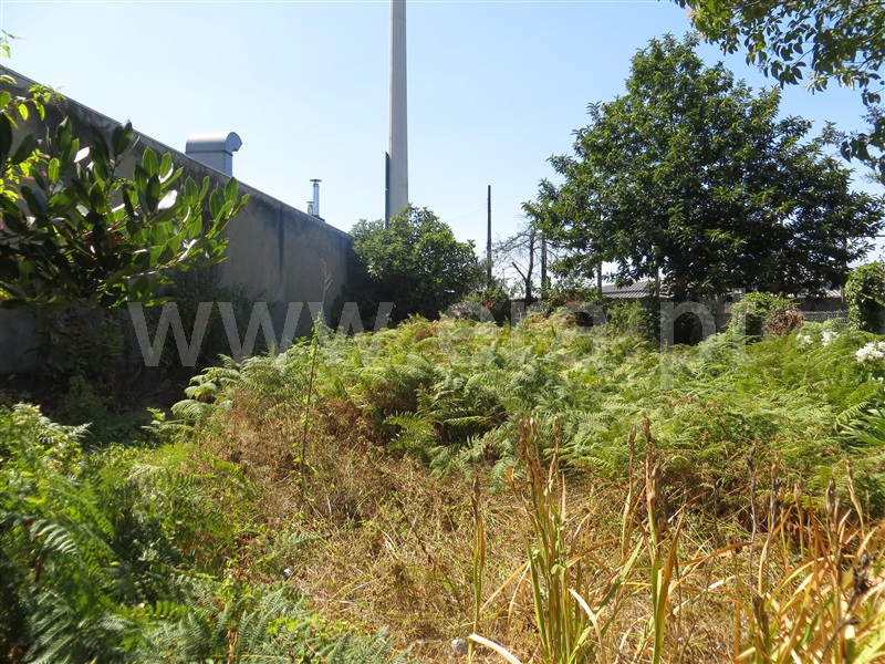 Moradia T4 Santo Tirso, Santo Tirso - 1175780 - 19