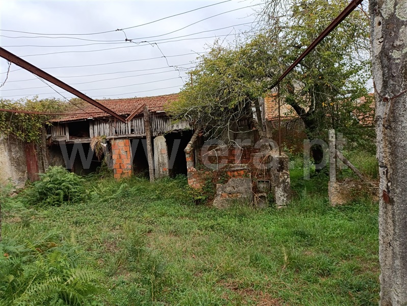 Moradia T3 São João da Madeira - 1509342 - 3