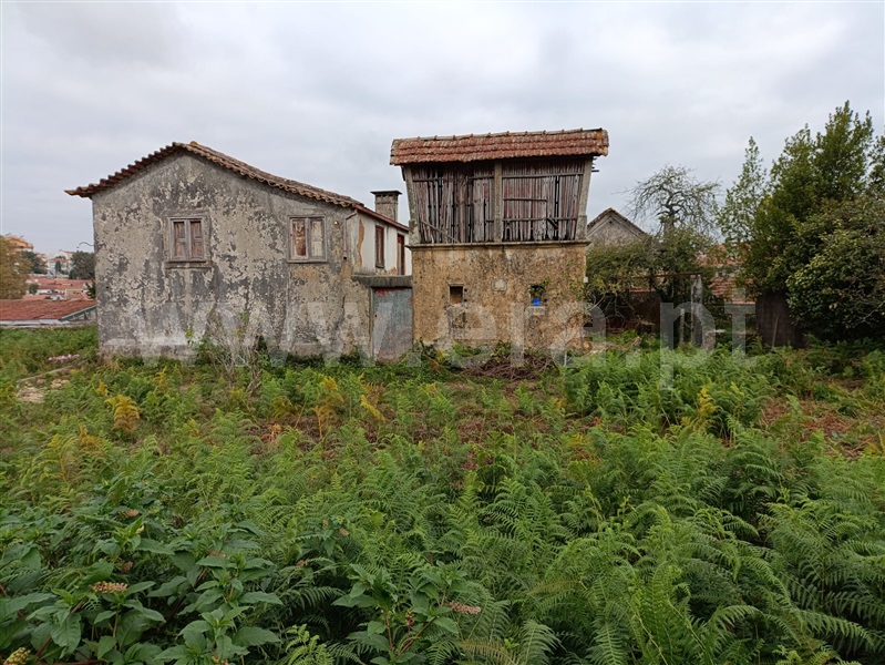 Moradia T3 São João da Madeira - 1509342 - 14