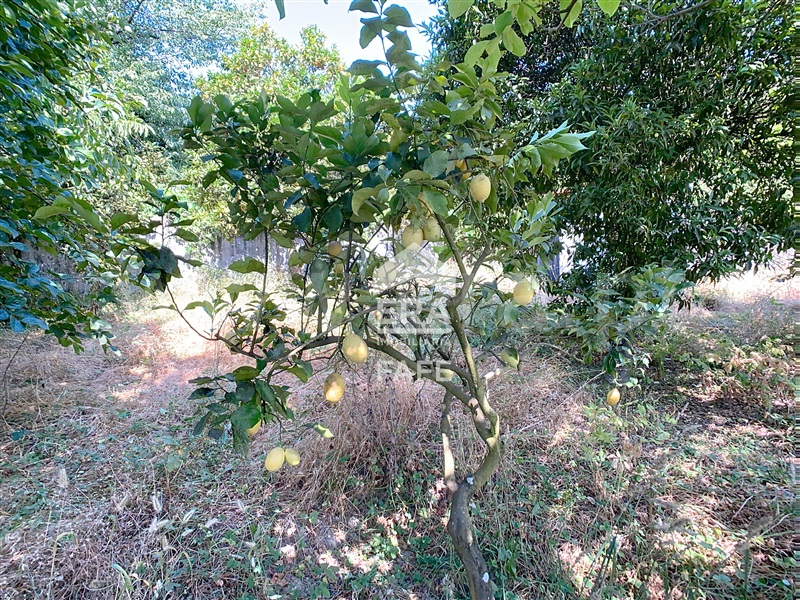 Moradia T4 São Pedro do Sul, Sul - 1492810 - 8