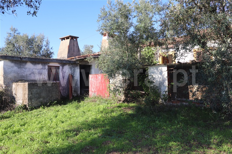 Moradia T4 Sardoal, Alcaravela - 1439776 - 4