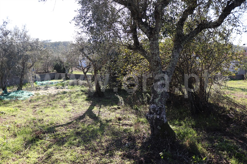 Moradia T4 Sardoal, Alcaravela - 1439776 - 5