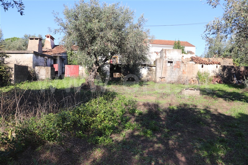 Moradia T4 Sardoal, Alcaravela - 1439776 - 7