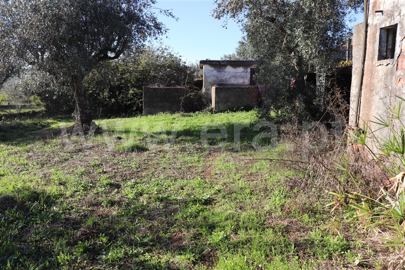 Moradia T4 Sardoal, Alcaravela - 1439776 - 9
