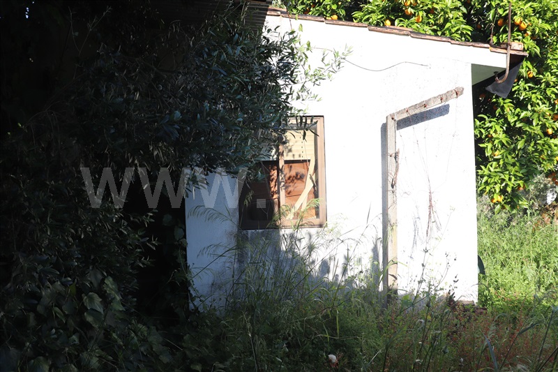 Moradia T4 Sardoal, Sardoal - 1482623 - 5