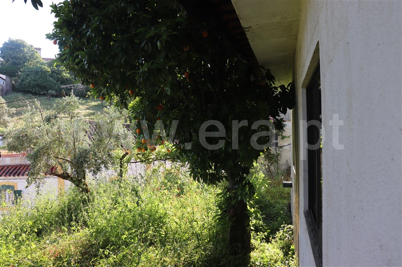 Moradia T4 Sardoal, Sardoal - 1482623 - 6