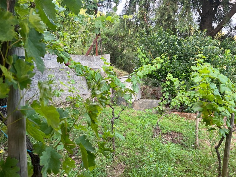 Moradia T4 Seia, Alvoco da Serra - 1342737 - 6