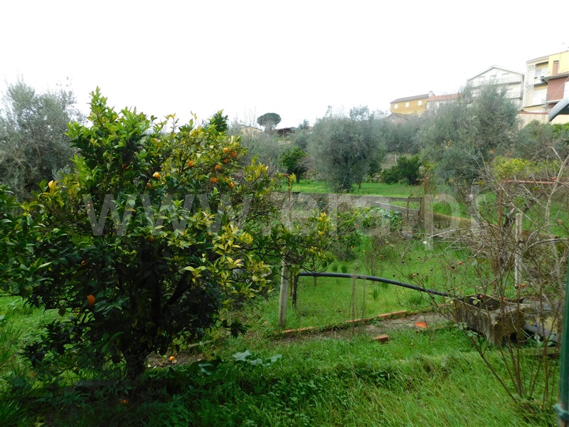 Moradia T4 Seia, Pinhanços - 1294873 - 8
