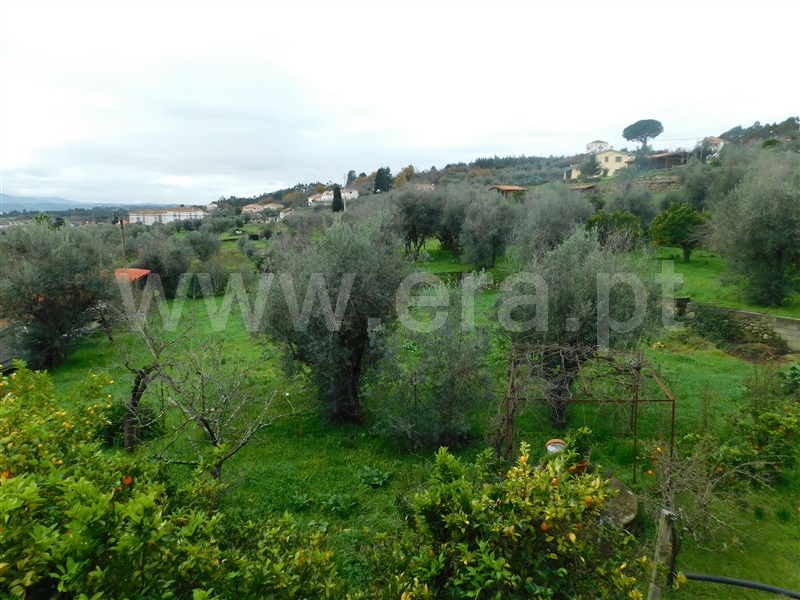Moradia T4 Seia, Pinhanços - 1294873 - 18