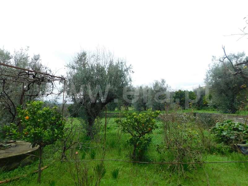 Moradia T4 Seia, Pinhanços - 1294873 - 25