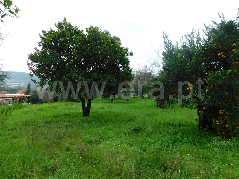 Moradia T4 Seia, Pinhanços - 1294873 - 33