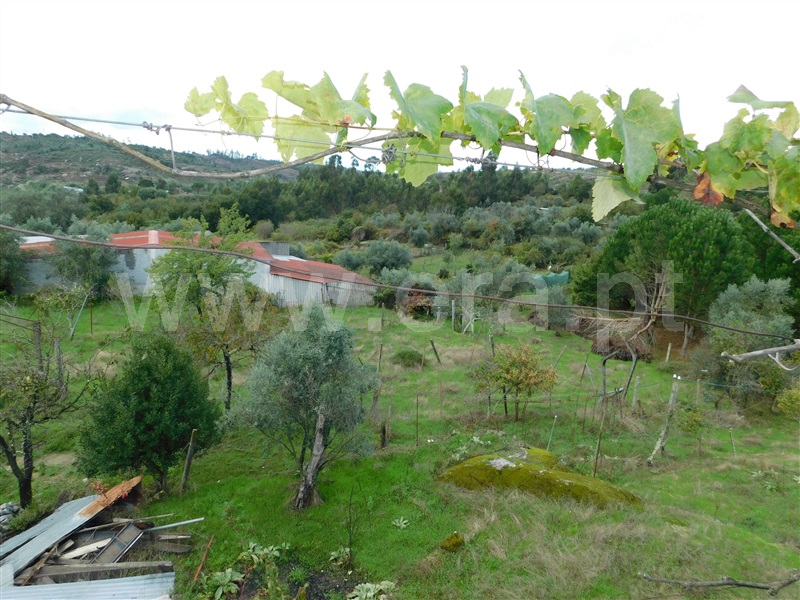 Moradia T4 Seia, Tourais e Lajes - 1442947 - 10