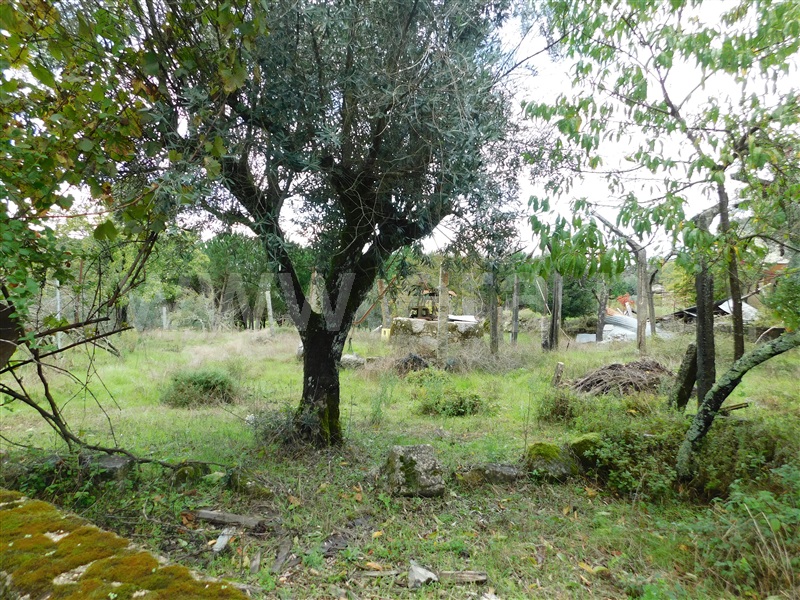 Moradia T4 Seia, Tourais e Lajes - 1442947 - 20