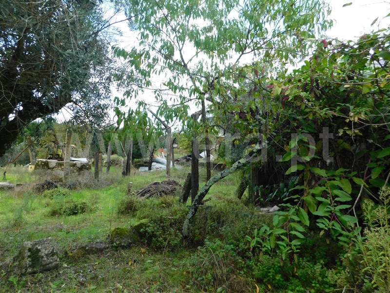 Moradia T4 Seia, Tourais e Lajes - 1442947 - 22