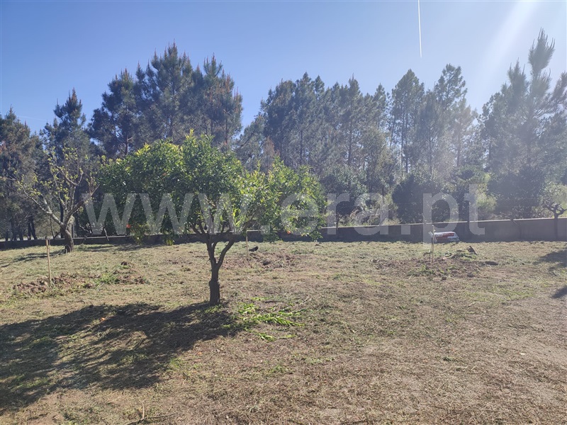 Moradia T4 à venda em Cumeada e Marmeleiro, Sertã — foto 4