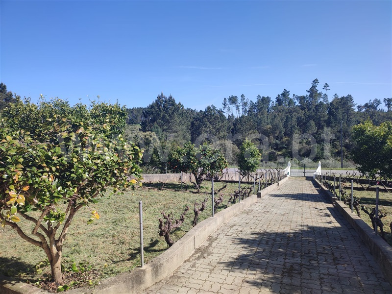 Moradia T4 à venda em Cumeada e Marmeleiro, Sertã — foto 5