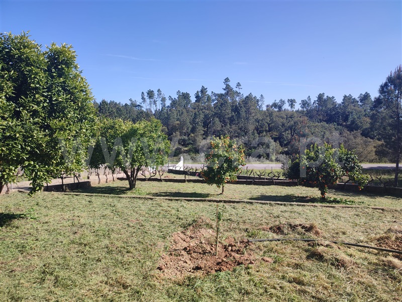 Moradia T4 à venda em Cumeada e Marmeleiro, Sertã — foto 6