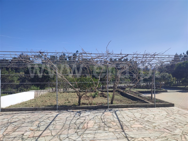 Moradia T4 à venda em Cumeada e Marmeleiro, Sertã — foto 8