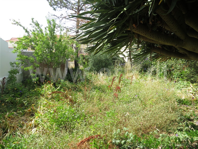 Moradia T4 Sintra, Albarraque - 1482446 - 7