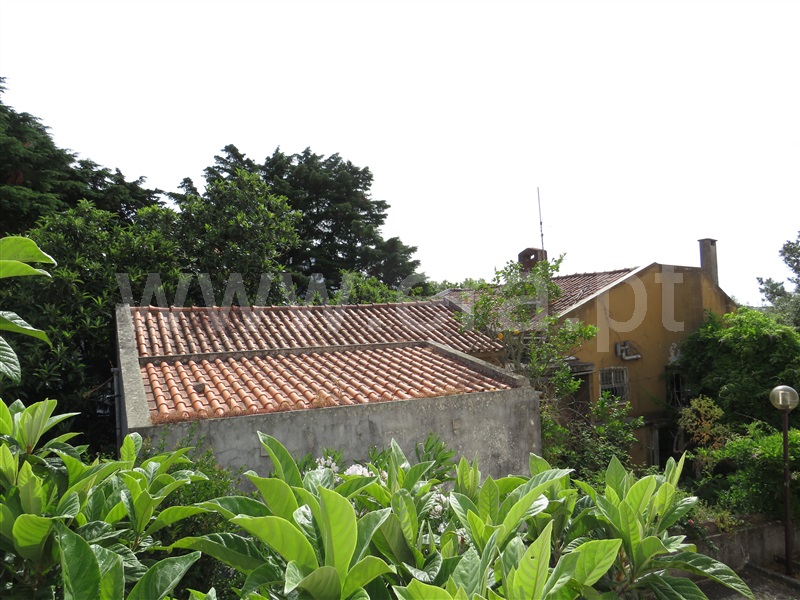 Moradia T4 Sintra, Albarraque - 1482446 - 12