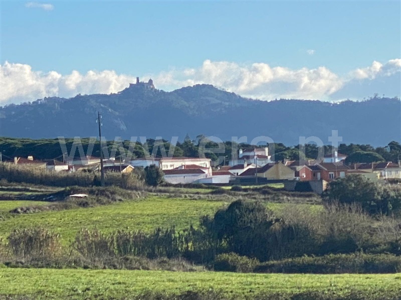 Moradia T4 à venda em São João das Lampas e Terrugem, Sintra — foto 20