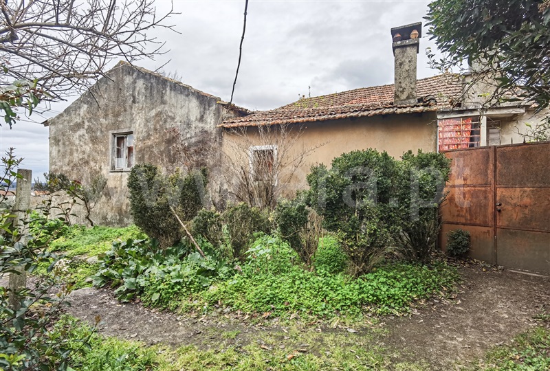 Moradia T4 Tábua, Ázere - 1312706 - 16