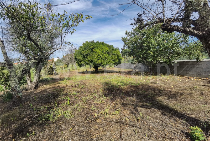 Moradia T4 Tábua, Midões - 1347115 - 16
