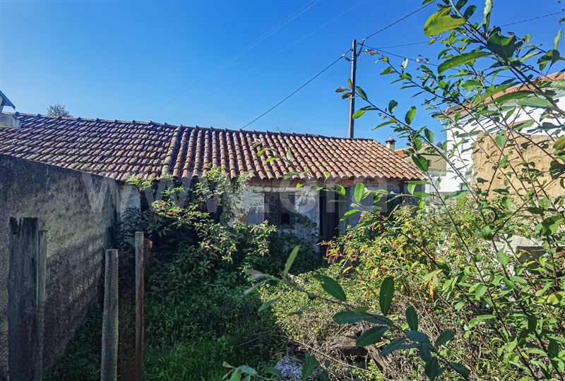 Moradia T4 com Quintal Tábua, São João da Boa Vista - 1338447 - 1