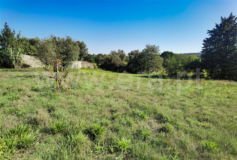 Moradia T4 com Quintal Tábua, São João da Boa Vista - 1338447 - 14