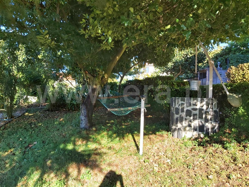 Moradia T4 Tabuaço, Barcos e Santa Leocádia - 1432714 - 18