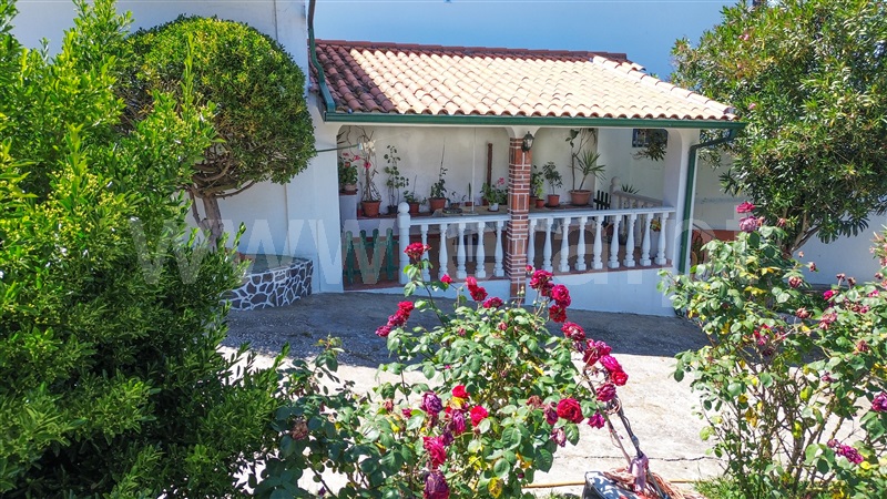 Moradia T4 com Jardim Tomar, Asseiceira - 1478545 - 38