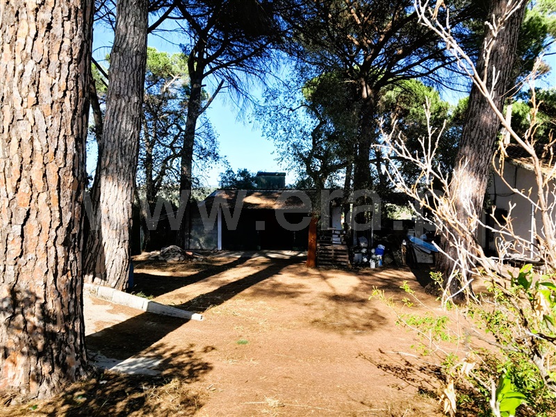 Moradia T3 Tomar, Madalena e Beselga - 1360706 - 3