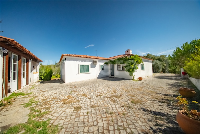 Moradia T3 Tomar, Madalena e Beselga - 1501074 - 1