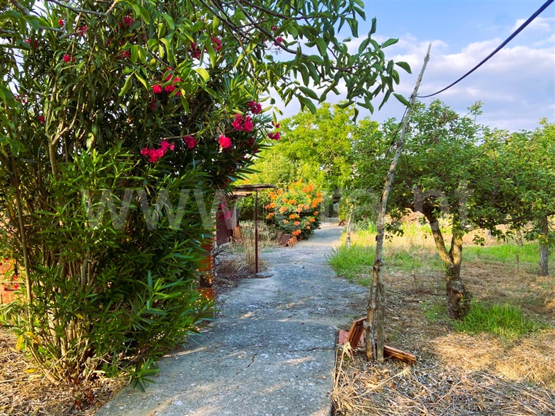 Moradia T4 Tomar, Paialvo - 1489189 - 8