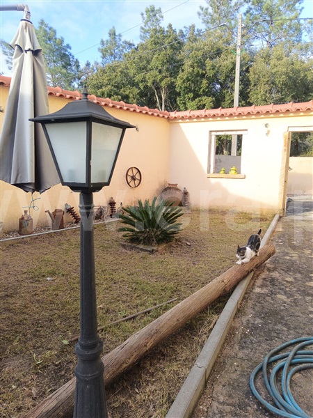 Moradia T4 Tomar, TOMAR - 1462398 - 19