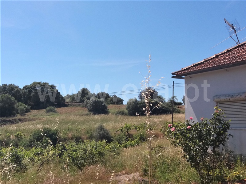 Moradia T4 Torres Novas, Chancelaria - 1485478 - 13