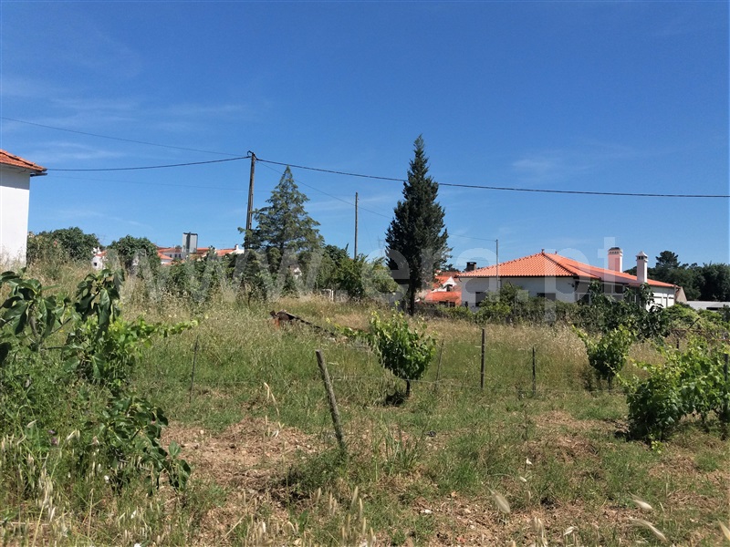 Moradia T4 Torres Novas, Chancelaria - 1485478 - 9