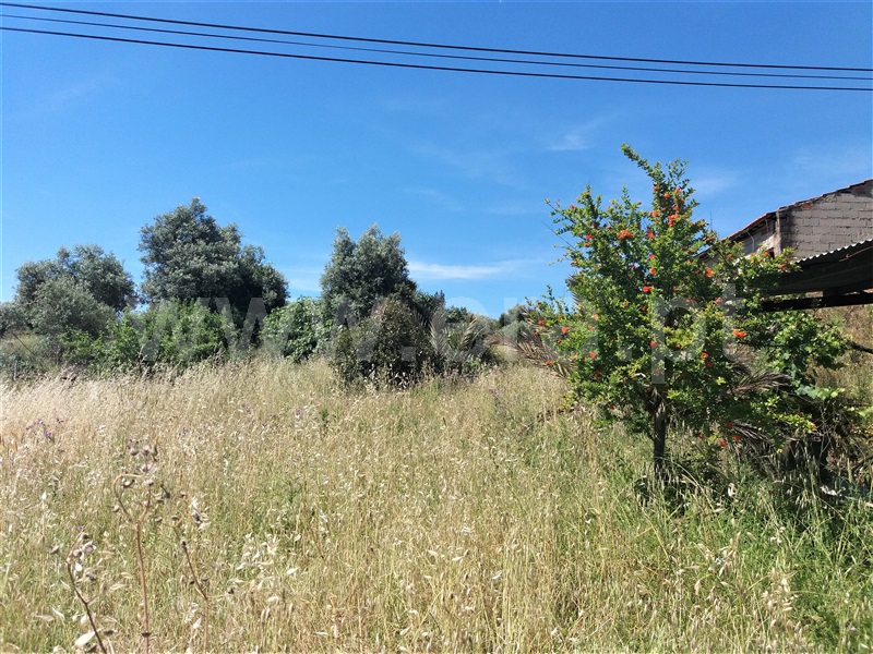 Moradia T4 Torres Novas, Chancelaria - 1485478 - 12