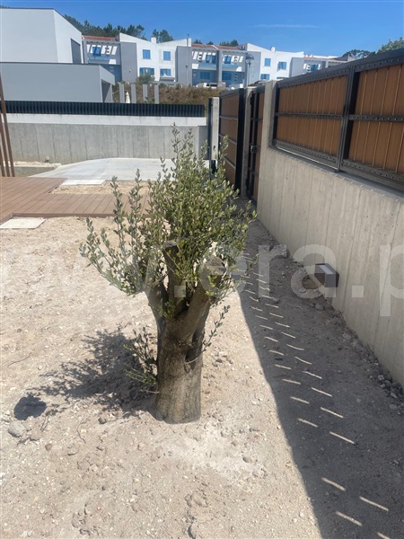 Moradia T4 à venda em Santa Maria, São Pedro e Matacães, Torres Vedras — foto 3