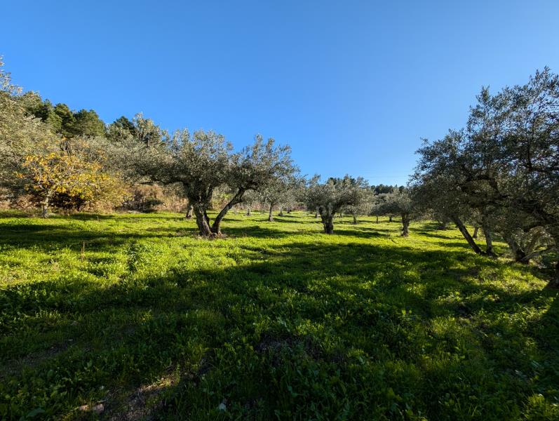 Moradia T4 com Terreno Trancoso, Valdujo, Trancoso - 1443454 - 3