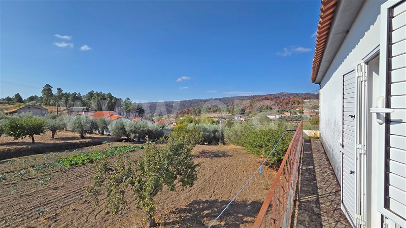 Moradia T4 com Terreno Trancoso, Valdujo, Trancoso - 1443454 - 11