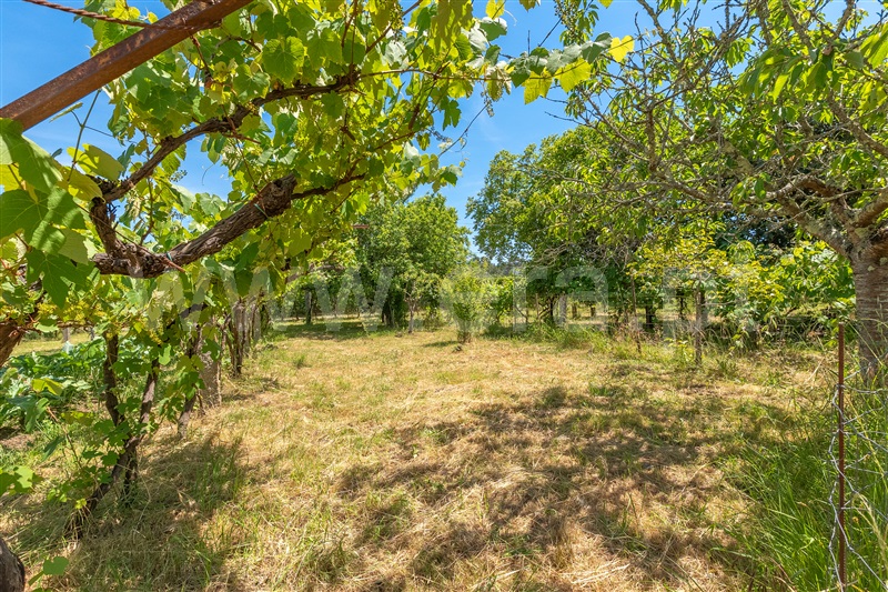 Moradia T4 Valença, Cerdal - 1483068 - 38