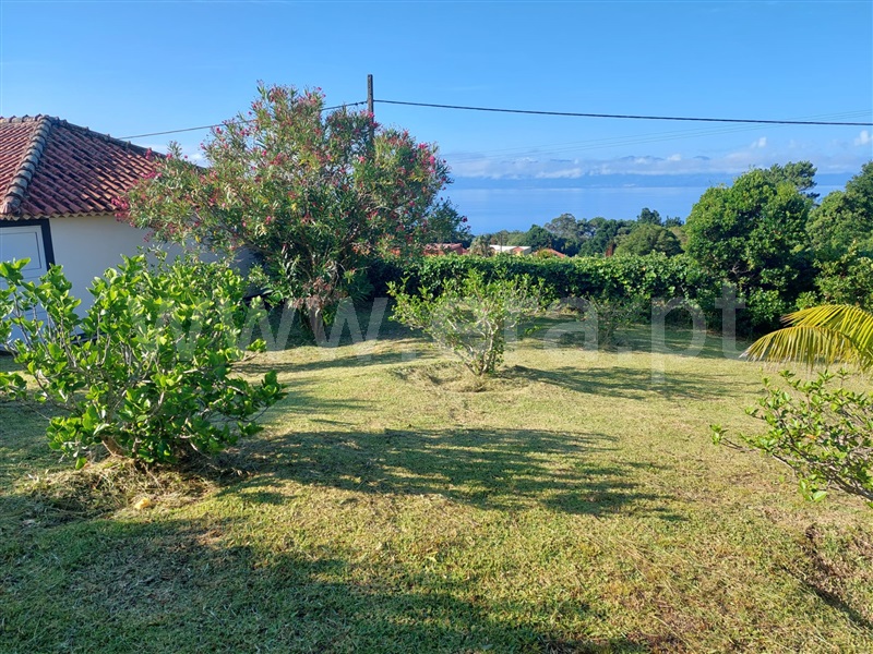 Moradia T4 Velas, Urzelina (São Mateus) - 1492066 - 13