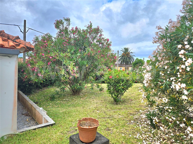 Moradia T4 Velas, Urzelina (São Mateus) - 1492066 - 23