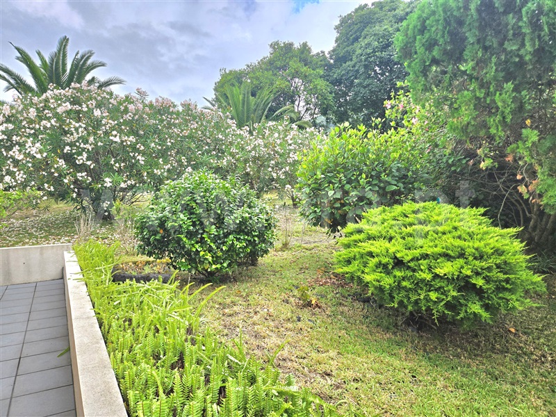 Moradia T4 Velas, Urzelina (São Mateus) - 1492066 - 46