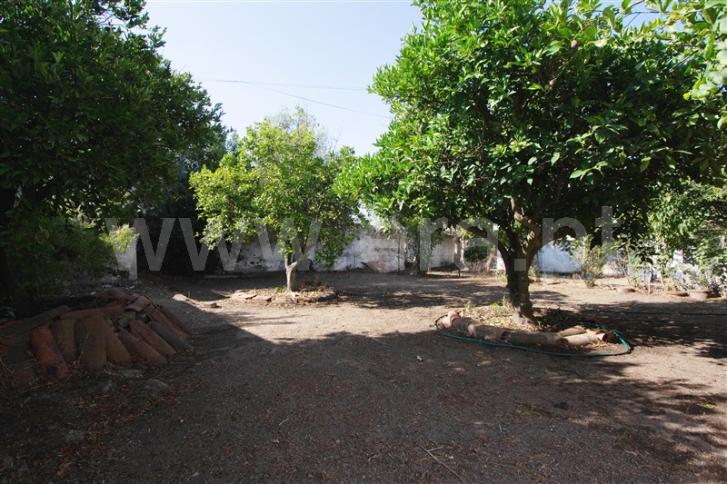 Casa Senhorial T4 Viana do Alentejo, Aguiar - 1405556 - 13