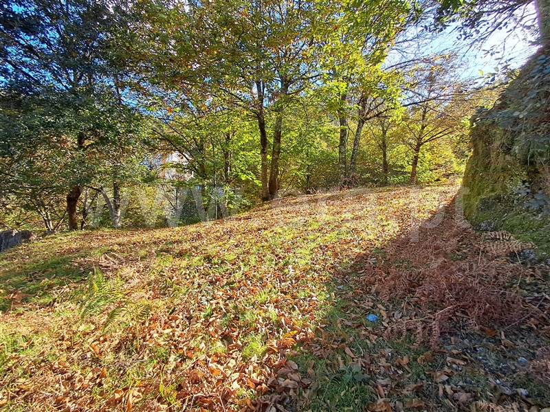 Moradia T4 com Terreno Vieira do Minho, Ventosa e Cova - 1421736 - 10