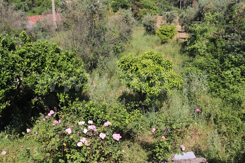 Moradia T4 Vila de Rei, Vila de Rei - 1408721 - 7